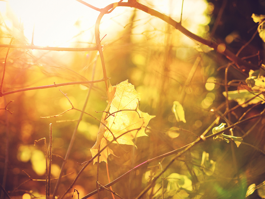 1 ноября в Анапе облачно, до +17