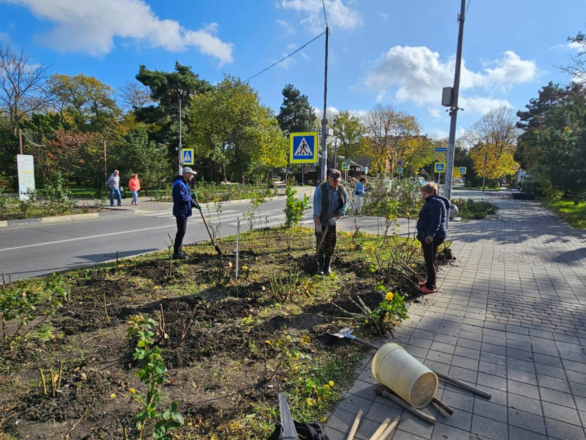 В Анапе жители ТОСа высадили в на улице Ивана Голубца 40 кустов роз