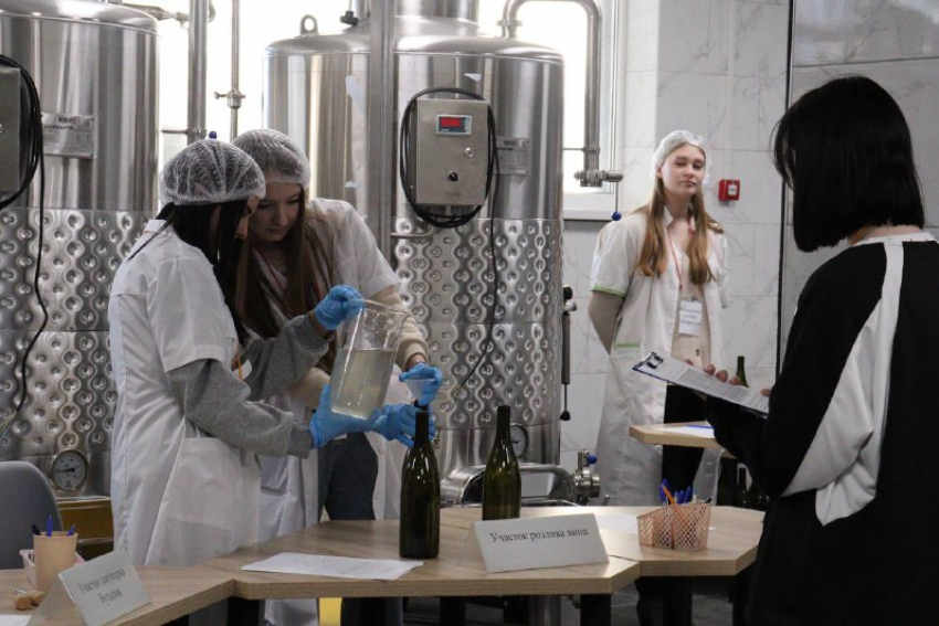 В Анапском сельхозтехникуме впервые запущена Фабрика процессов для виноделов