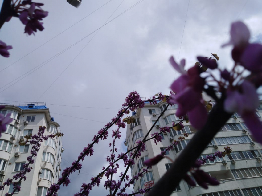 Сегодня, 4 мая, в Анапе с утра будет пасмурно