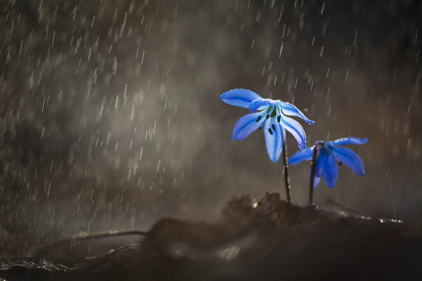 Сегодня в Анапе похолодает