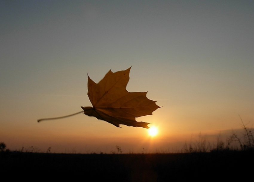 В Анапе ясную погоду 3 октября будет сопровождать холодный ветер