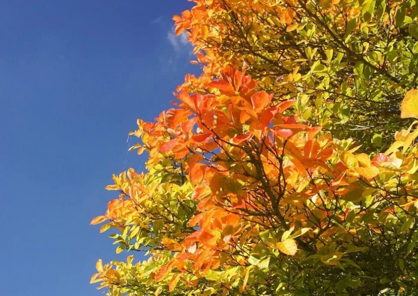 8 сентября в Анапе дождя не ожидается