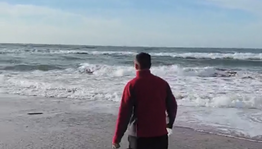 Блогер уличил Роспотребнадзор в сокрытии правды о пробах воды в Анапе