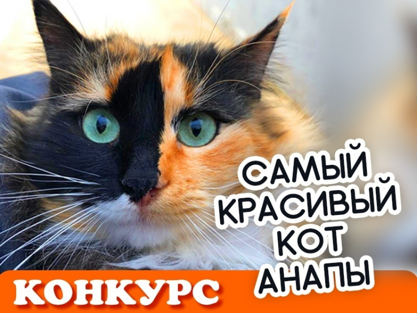 Новый конкурс уже стартовал и ждет участников!