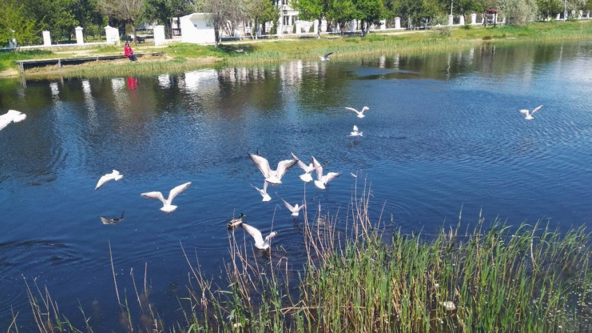 Весеннее тепло 25 апреля: прогулка возле реки Анапки 