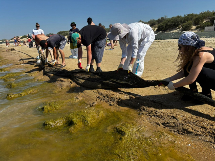 Новые данные мониторинга пляжей в Анапе 