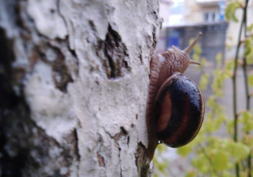 Погода на сегодня, 22 апреля: повезёт садоводам