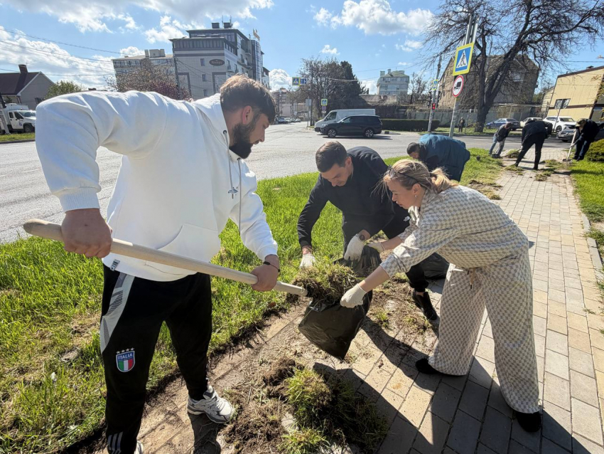 Аллея роз в Анапе стала центром масштабного субботника