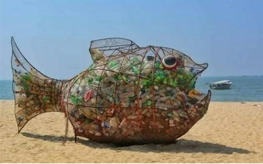 Может ли опыт художника из Индии по очистке пляжей от мусора прижиться в Анапе?