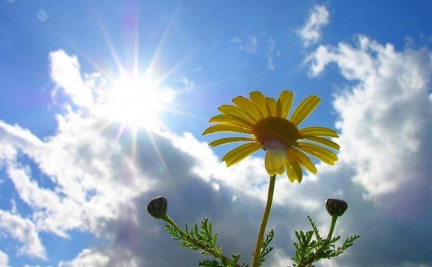 Сегодня, 3 мая, в Анапе так же тепло