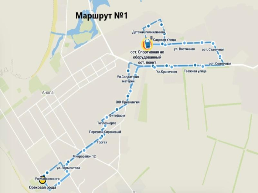 В Анапе представили новую маршрутную сеть: 12 новых линий и 101 автобус