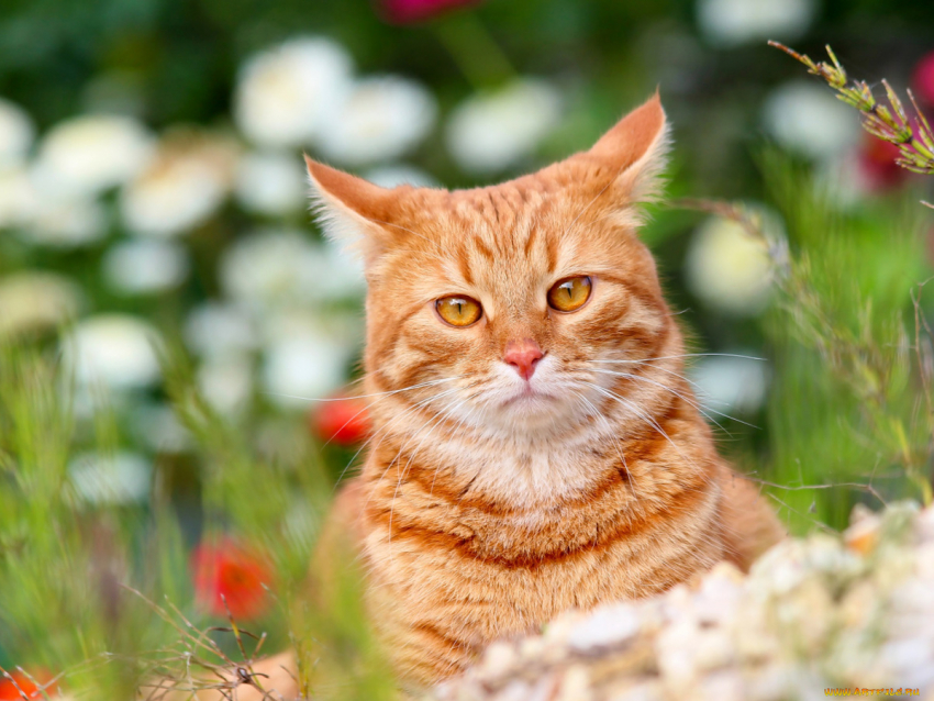 7 апреля в Анапе столбик термометра поднимется до +20