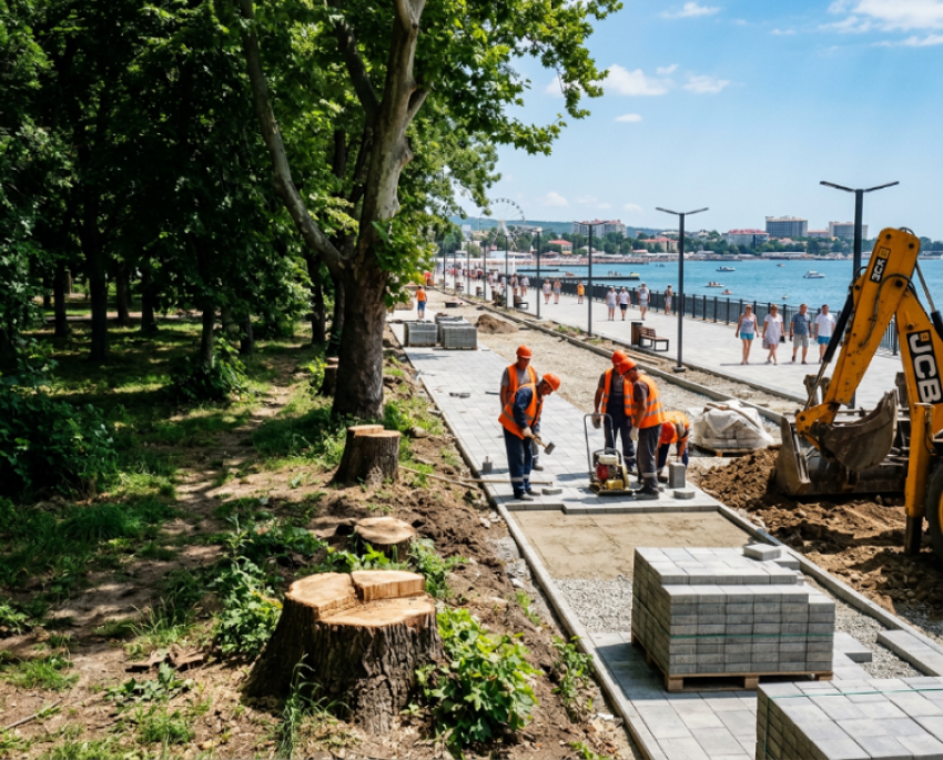 Зелёные зоны Анапы под угрозой: куда исчезают деревья и во что превращается благоустройство города