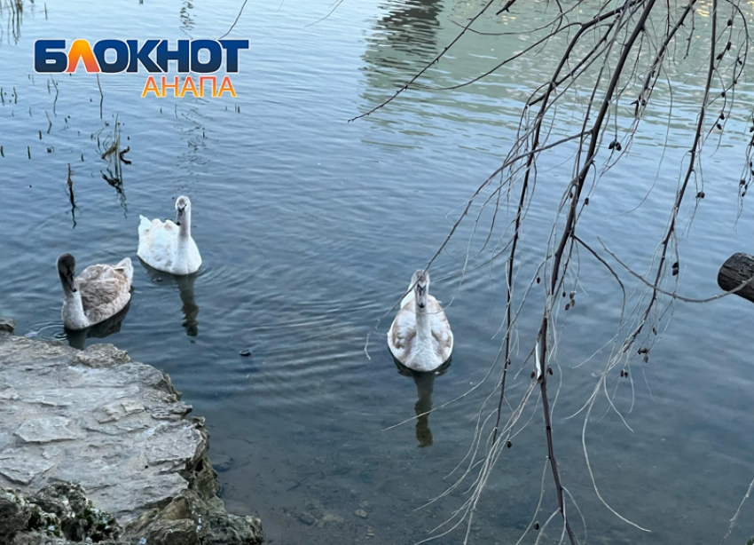 В День примерки морозного кружева в Анапе малооблачно