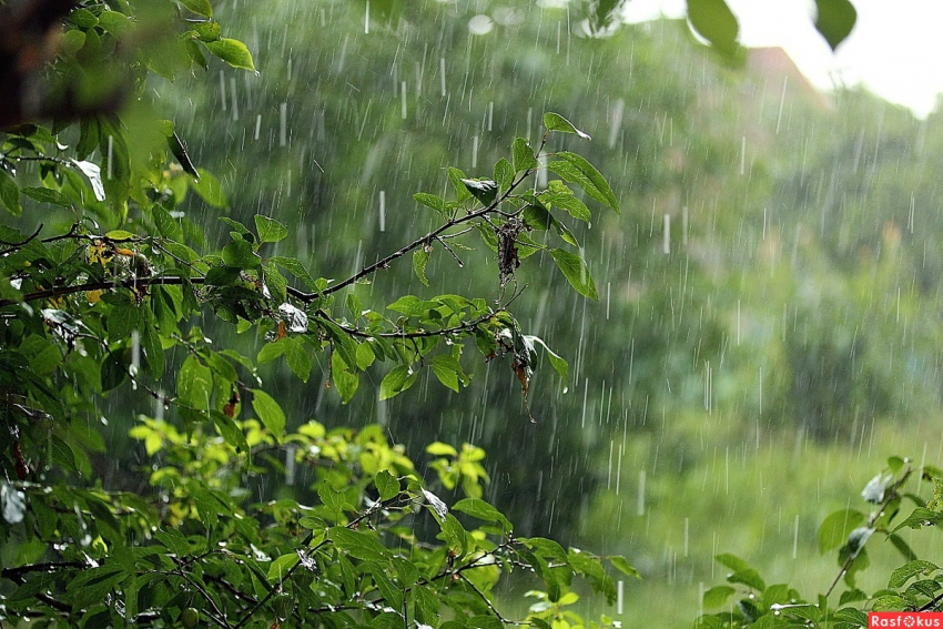 Сегодня, 24 мая, в Анапе ожидается дождь