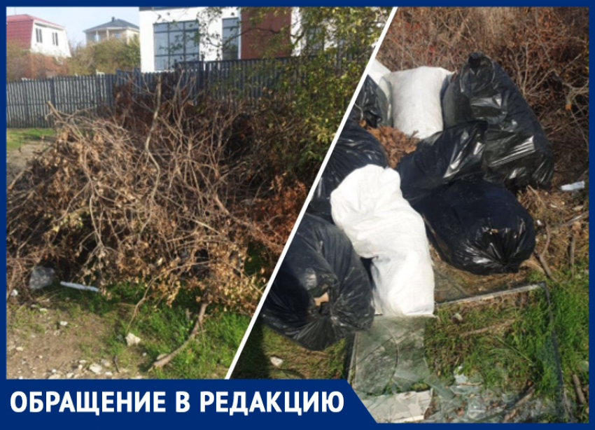 «Поселок превращается в помойку»: анапчанин о мусоре в Супсехе