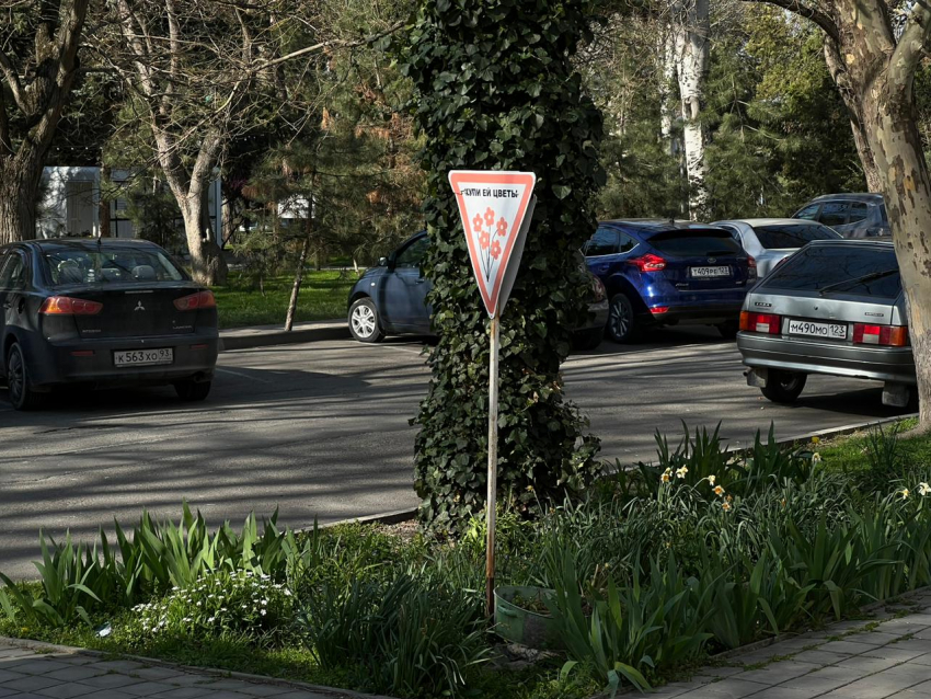 В День российского стоматолога в Анапе пасмурно и без осадков