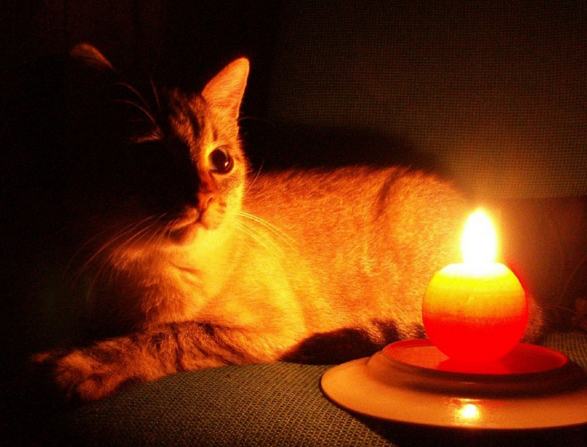 Кому из анапчан в этот раз отключат электроснабжение?