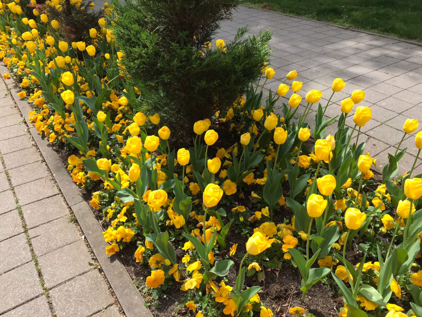 Гороскоп для анапчан с 24 по 30 апреля: Близнецам надо быть на позитиве