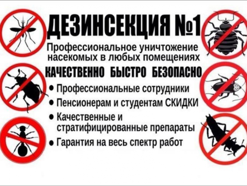 УНИЧТОЖЕНИЕ ВРЕДИТЕЛЕЙ!