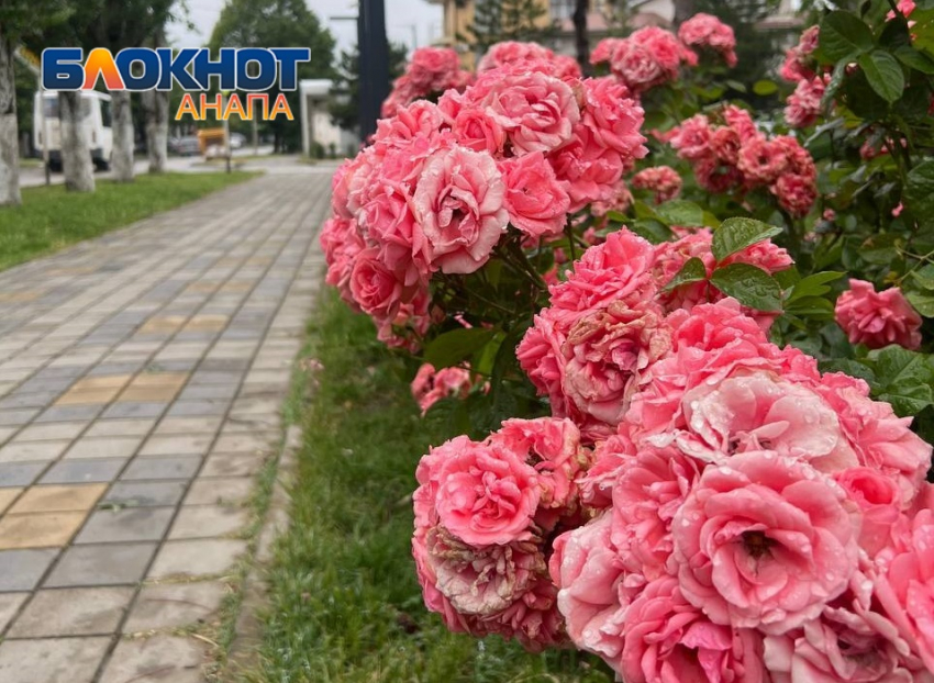 Во всемирный день блондинок в Анапе малооблачно