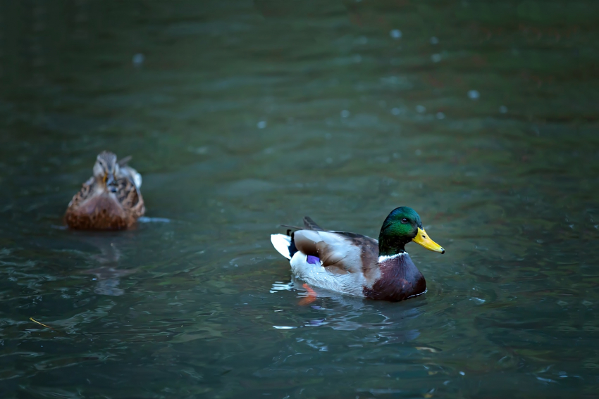 В понедельник погода неприятно удивит анапчан