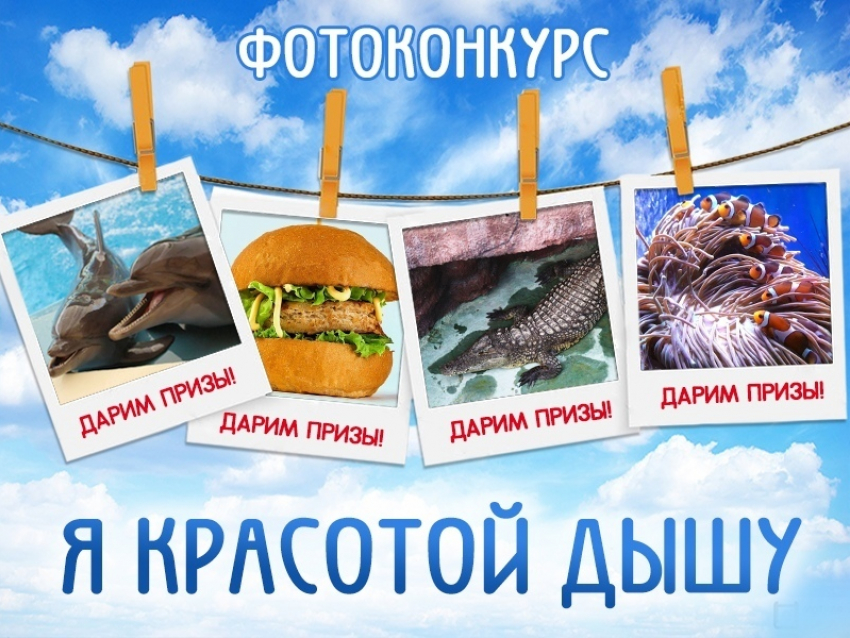 Какие подарки получат победители конкурса «Я красотой дышу"