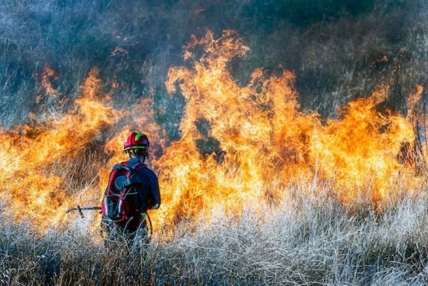 Режим повышенной пожарной опасности в Анапе продлен до 1 октября