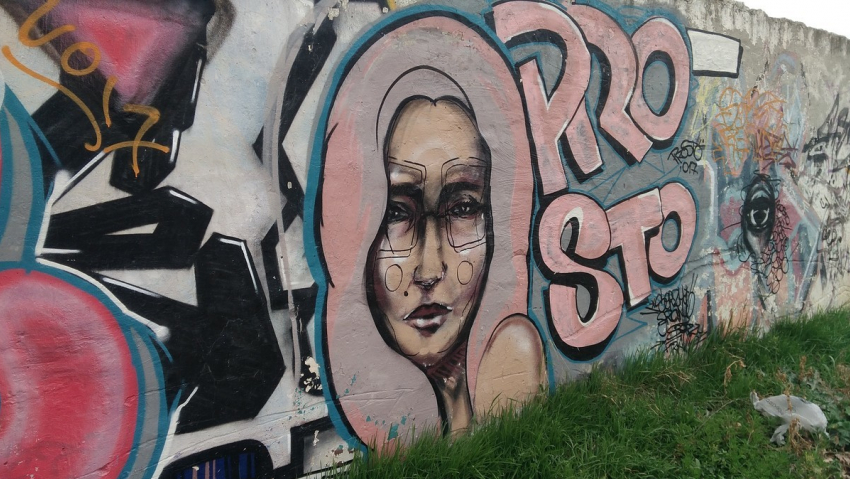 Жилье с видом на мат: элитные таунхаусы в Анапе разрисованы бранными словами