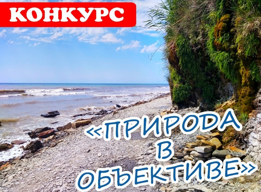 Новый конкурс «Природа в объективе» уже стартовал в инстаграме
