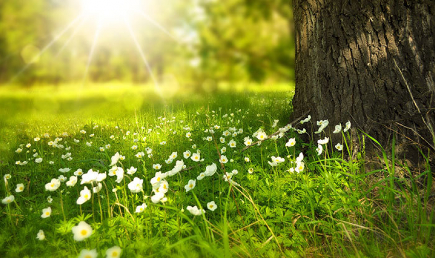 Сегодня погода в Анапе к вечеру прояснится