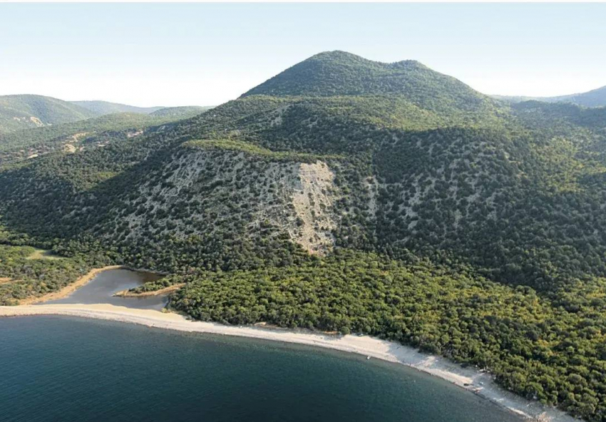 Частник захватил участок леса в Большом Утрише и построил деревянные объекты