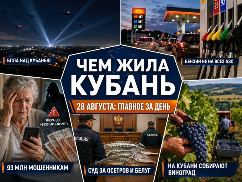 93 миллиона мошенникам, беспилотники над Кубанью и бензин не на всех АЗС: чем запомнилось 28 августа
