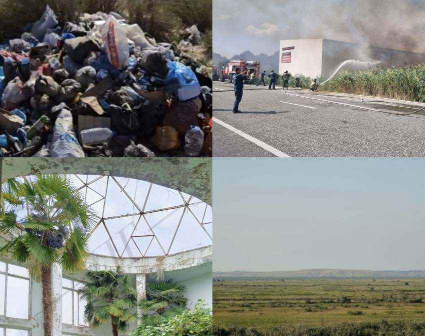 Полив деревьев стал предметом судебной тяжбы, а пляжу грозит экологическая катастрофа: что произошло в Анапе за неделю