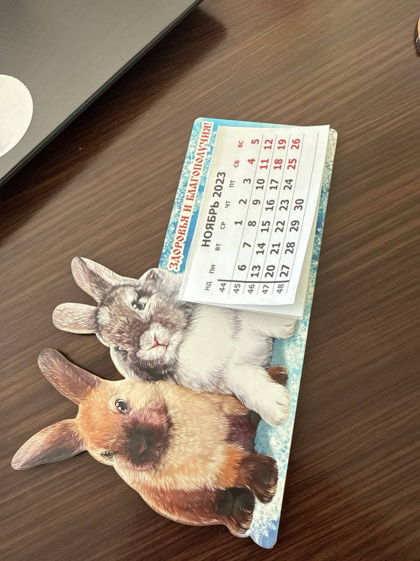 Новогодние каникулы могут продлить 