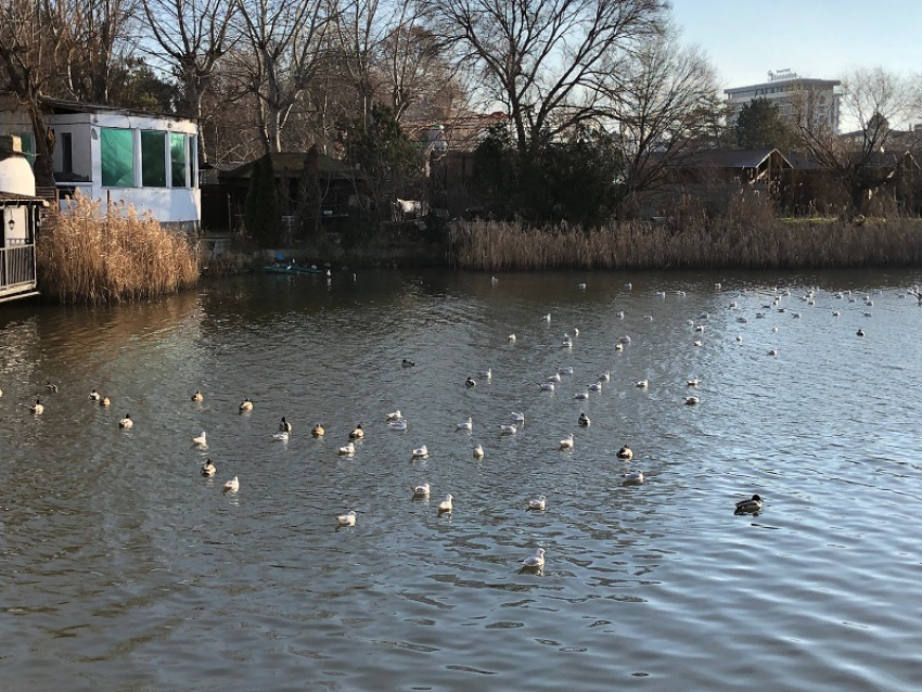 В День образования Следственного комитета РФ в Анапе пасмурно