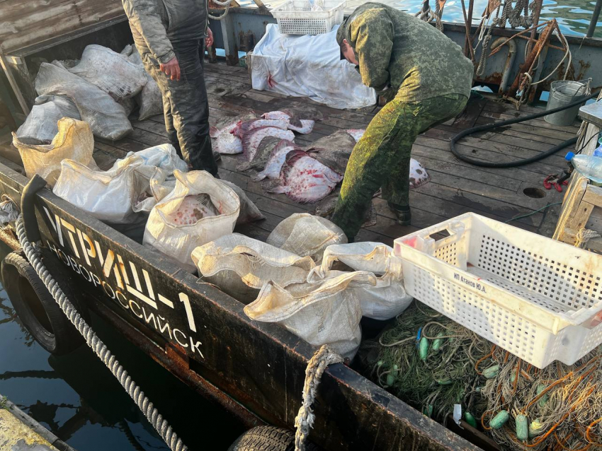 Операция «Путина» в Анапе прошла без нарушений по обороту рыбной продукции