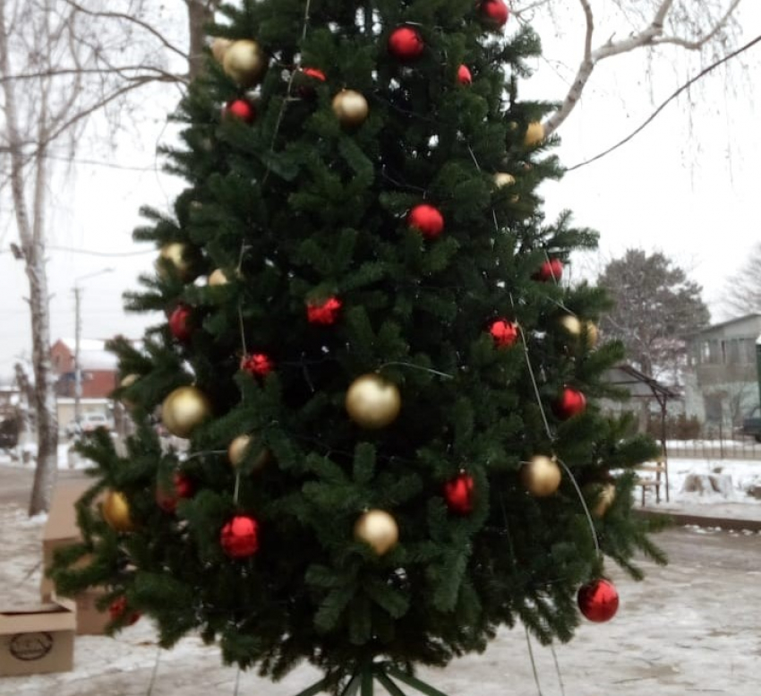 В Цибанобалке под Анапой общественники установили новогоднюю ёлку