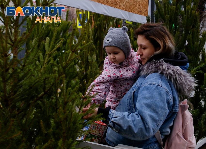 Опубликован список и местоположение ёлочных базаров в Анапе