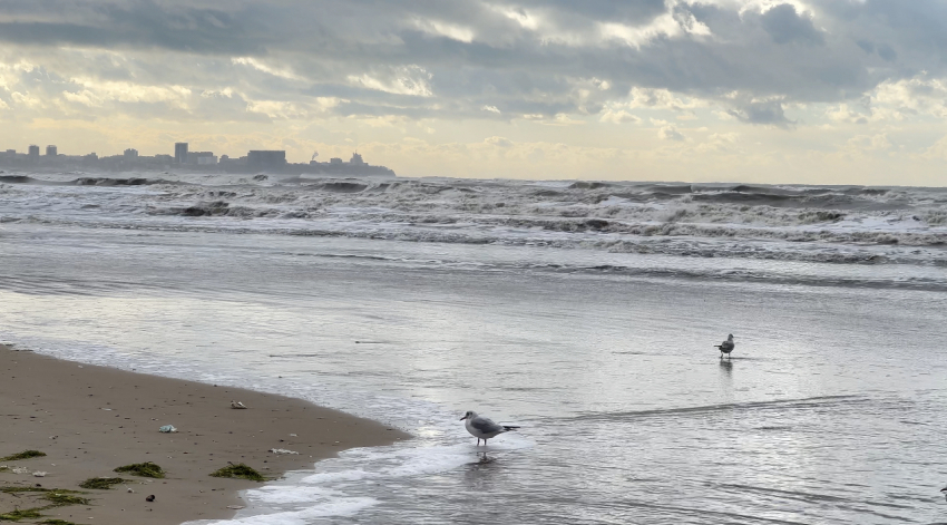 Дождь и ветер:в понедельник анапчанам понадобятся зонтики