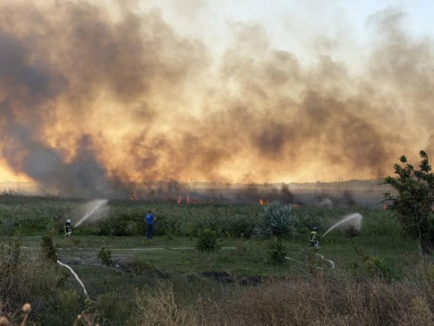 Огонь прошёл 25 гектаров: в Анапе защищают жилые районы и готовят Бе-200 и Ми-8
