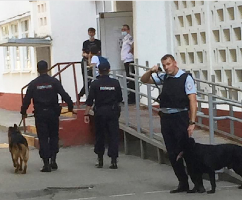 Вокруг школы №4 в Анапе перекрыли движение и появились полицейские с собаками