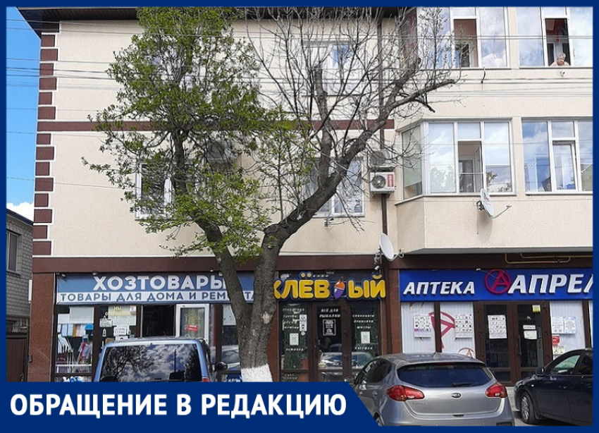 Жители улицы Краснодарской в Анапе сообщают о дереве, которое может рухнуть