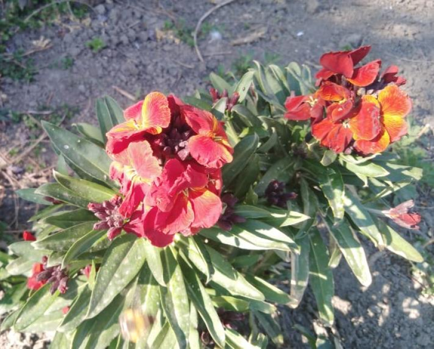 Гороскоп для анапчан с 6 по 12 апреля: Рыбы справятся с проблемами