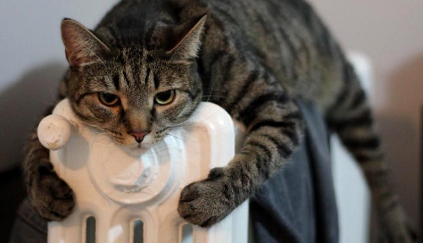 "Горячая линия» приведёт тепло в анапские дома