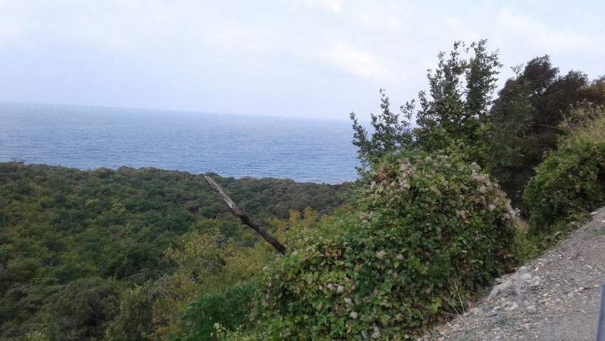 В день расслабленности и беззаботности в Анапе ясно