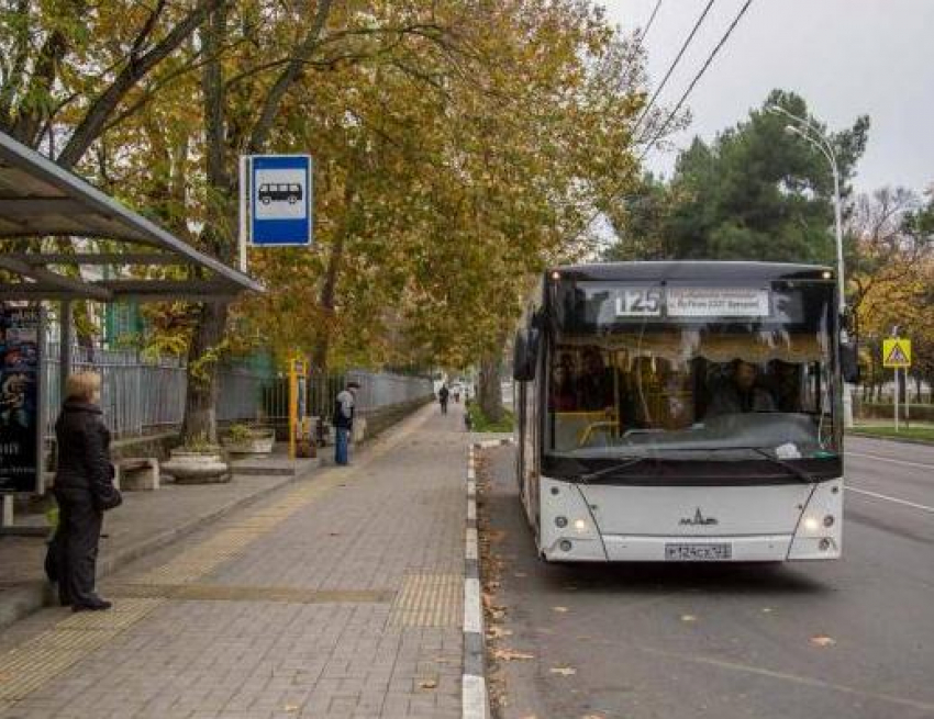 «Остановки в Анапе расположены непонятно как!» - приехавший из Новосибирска молодой человек о том, что доставляет ему неудобства