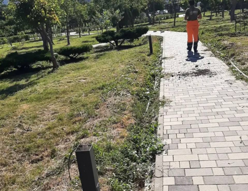 Неизвестные испортили освещение в популярном парке Анапы