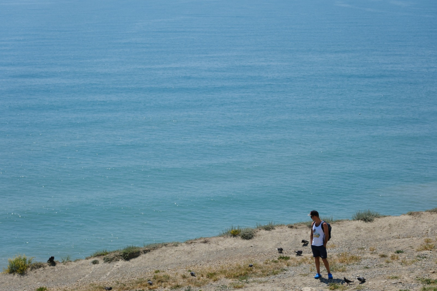 Во Всемирный день крокодила в Анапе тепло и малооблачно